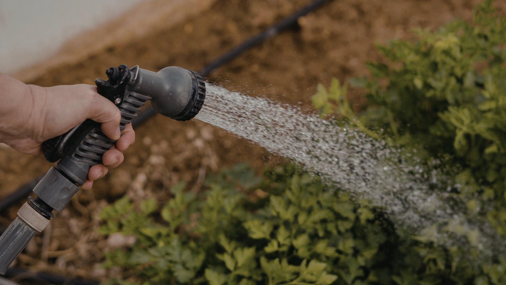 Outdoor Faucet Repair — professional plumber at work